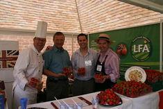 Chef Noel Goulding, strawberry grower Andrew Boxall, Josh Kann executive of LFA, Tony Bilsborough, events coordinator at LFA, at the Local Food Alliance tent at Fruit Focus
