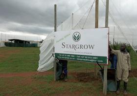 Stargrow Lesotho