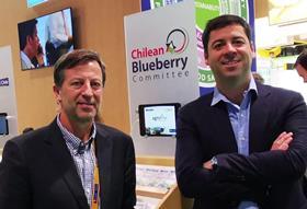Chilean Blueberry Committee