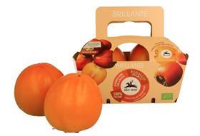 Italy organic persimmons Alce Nero Rojo Brillante