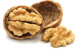 Chilean walnuts