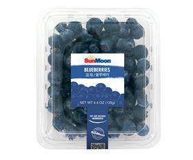 SunMoonBlueberries