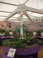 Broccoli bags gold for HRI Warwick