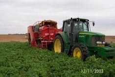 The fruit machinery factor