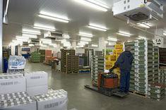The new warehouse can hold more than 1000 pallets