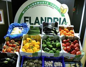 Flandria veg