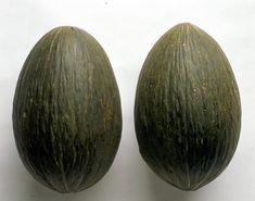 Melons from La Mancha