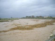 Crops could withstand flooding