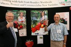 Dr Colin Gutteridge, ceo of East Malling Research, and strawberry breeder Dr David Simpson at the Meiosis strawberry launch at Fruit Focus