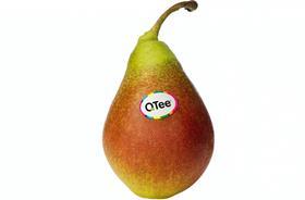 BE BelOrta Qtee pear