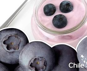 Chilean blueberry promotion Scandinavia