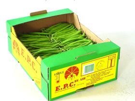 MENA Egypt green beans export veg