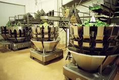 Ishida's R-Series 14-head weigher