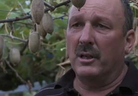 Lee Hoggard kiwifruit Te Puke New Zealand