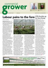 CG delayed by postal strike