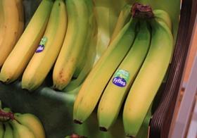 Fyffes organic bananas Germany