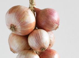 Prince de Bretagne Roscoff pink onions