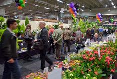 FloraHolland is always a colourful affair