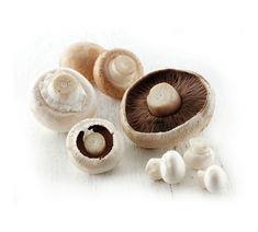 Mushroom sector at 35-year low