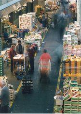 Garden turnover tops £600 million