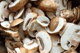 sliced swiss brown mushroom free use