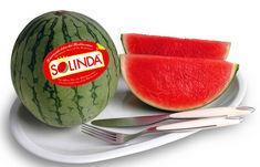 Solinda set to storm market