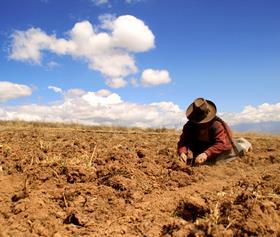 GEN BigStock_Potato_Harvest_In_The_AndesÂ©_peru