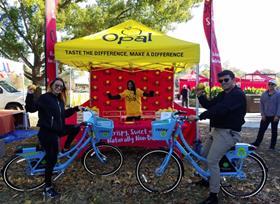 Opal Apple promo 2017