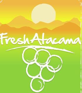 Fresh Atacama seal Chile grapes