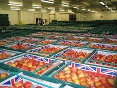 Instant British identity for fruit