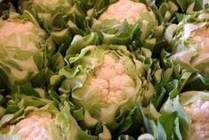 Dry weather hits brassicas