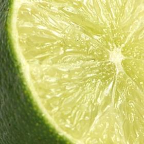 lime close-up