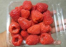Southern Specialties Adelita raspberries