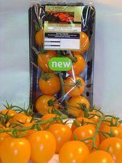 Plum tomato deal for Somerfield