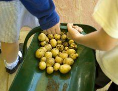 Children's interest in food and farming spikes