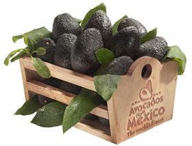 MX Avocados from Mexico copy