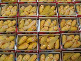Pakistan Sindhri mangoes on display in London