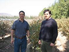 Andrew Thomas (Euroberryuk) and Francisco Ortuzar (Hortifrut)