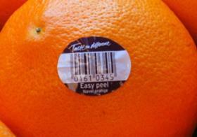Sainsbury's easy peel Navel orange