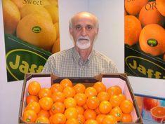 Israeli citrus season success