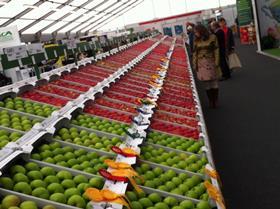 Apples fruit show