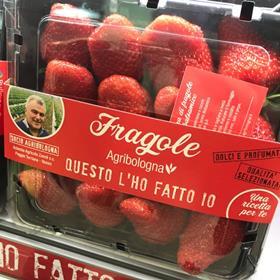 IT Agribologna strawberries