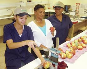 South Africa apples quality check