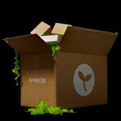 SymbioCity urban agriculture