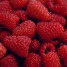 Moutere raspberry