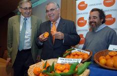 Left to right: Florentino Juste, director of research institute Ivia; Juan Cotino, agriculture secretary; Luis Navarro, Ivia researcher