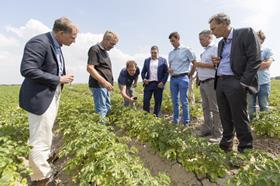 Albert Heijn potato biodiversity alliance