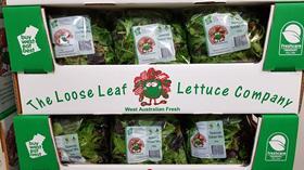 loose leaf lettuce