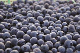 Chile blueberries