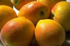 Volcani scientists to enrich fruit properties
